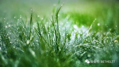 九九九久伊在人线综合小草